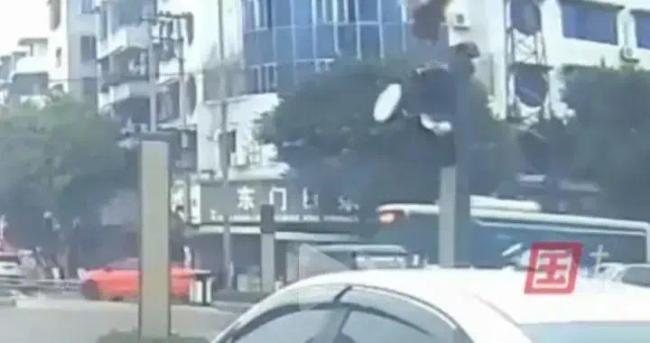 一只鸡从天而降砸坏红绿灯看懵交警 肇事司鸡当场逃逸！