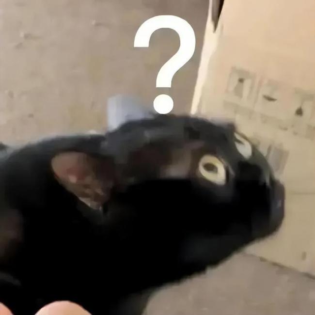 春晚都过了半个月，白敬亭的颜色之争还有炸裂的新后续？