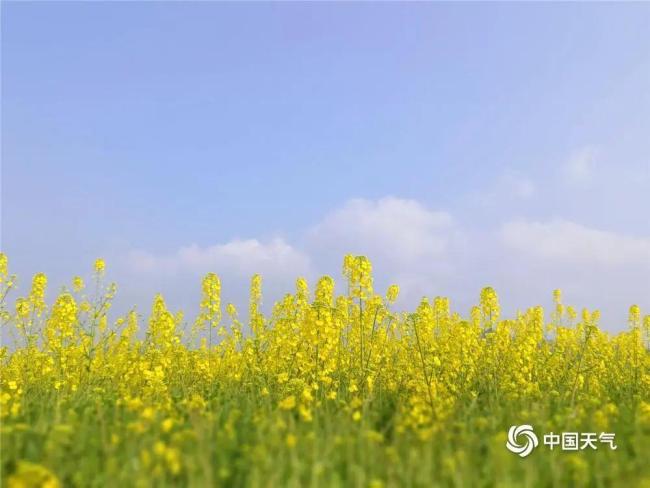 未来一周北方大部气温持续回升 南方阴雨频繁