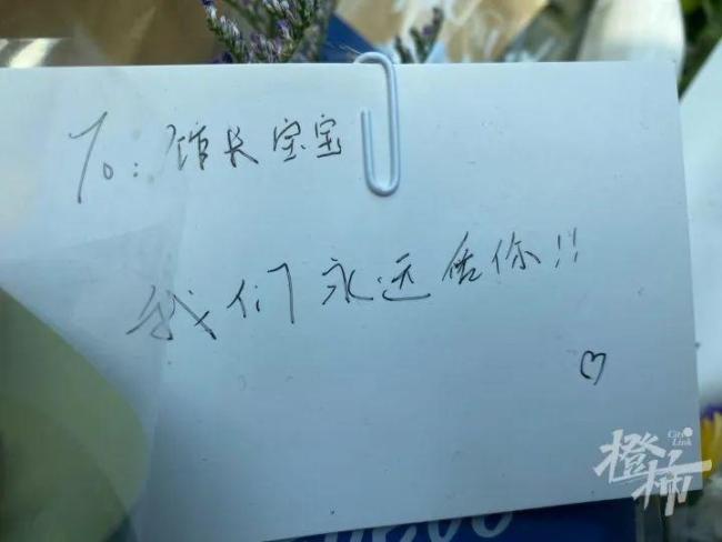 “那就好好说声再见吧！”在中国美院生活了13年的网红“喵馆长”意外离世