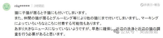 日本福山全城寻找毒流浪猫曾掉进有毒液体罐后逃离 千万不要摸！