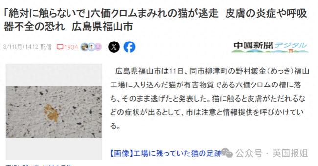 日本广岛一只猫掉进强毒物液体后逃走，警方发布寻猫启事：碰了可能致癌。