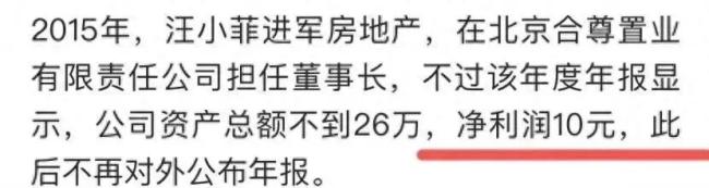 汪小菲开房地产公司年利润10元 投资1000万元的茶饮料年利润200元