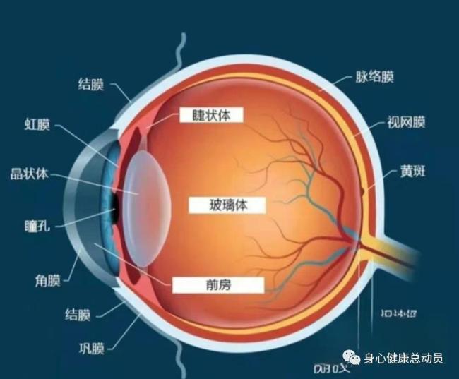 强忍泪水等于慢性自杀？网友：建议每周哭一次呢