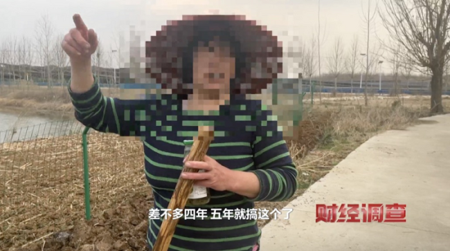 央视曝光！耗资超800万元建高标准农田，两年后改建光伏电站！当地稻谷亩产大跌→