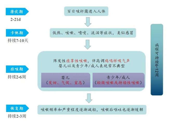 百日咳卷土重来，感染儿童咳嗽如鸡叫，今年已致13死！如何正确预防和治疗？​