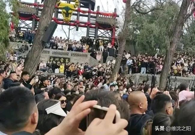 为什么变味了？开封王婆直播诉苦：舞台变了味儿了，保住净土很难