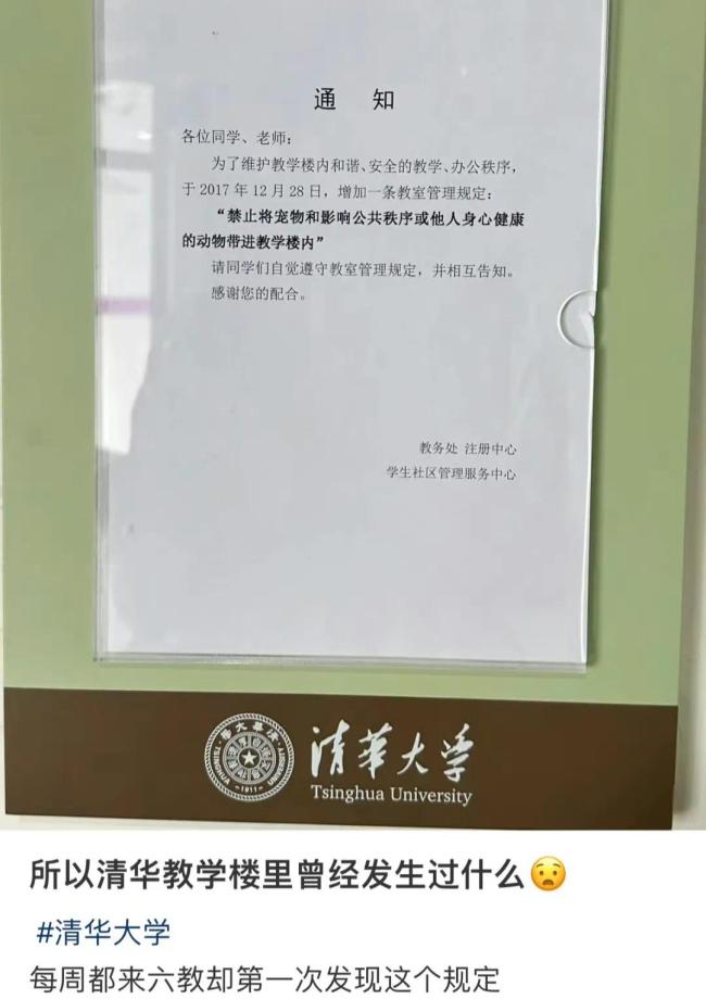 清华教学楼里到底发生过什么 网友评论有宿舍里养鳄鱼、养蛇、养蛤蟆