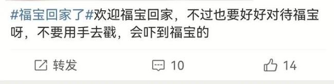 官方回应大熊貓福宝疑似被戳：确认‘福宝’状态进行的必要查体和探究