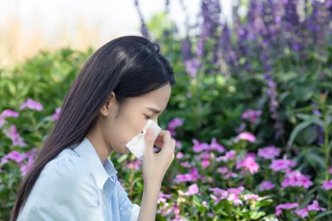 食用蜂蜜或花粉能防过敏？假的：没有明确的科学共识