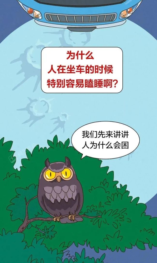 一坐车就打瞌睡的人都有个共同点 你是否有过相似的经历