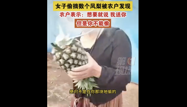 大妈偷摘菠萝被发现竟说是买的