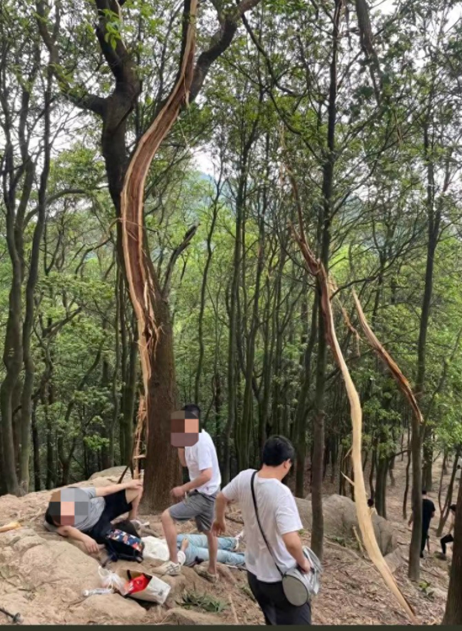 女子爬山遭雷击倒地 身旁树木被劈开 目击者：胳膊瞬间麻了