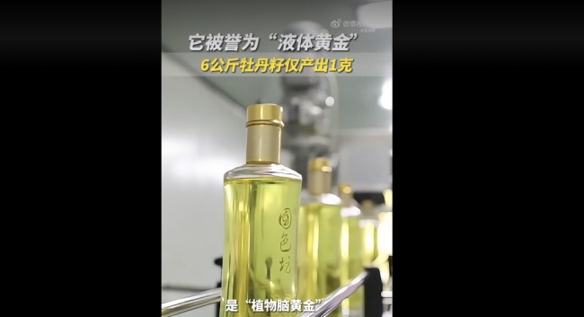 6公斤牡丹籽榨出1克油珍稀油品揭秘