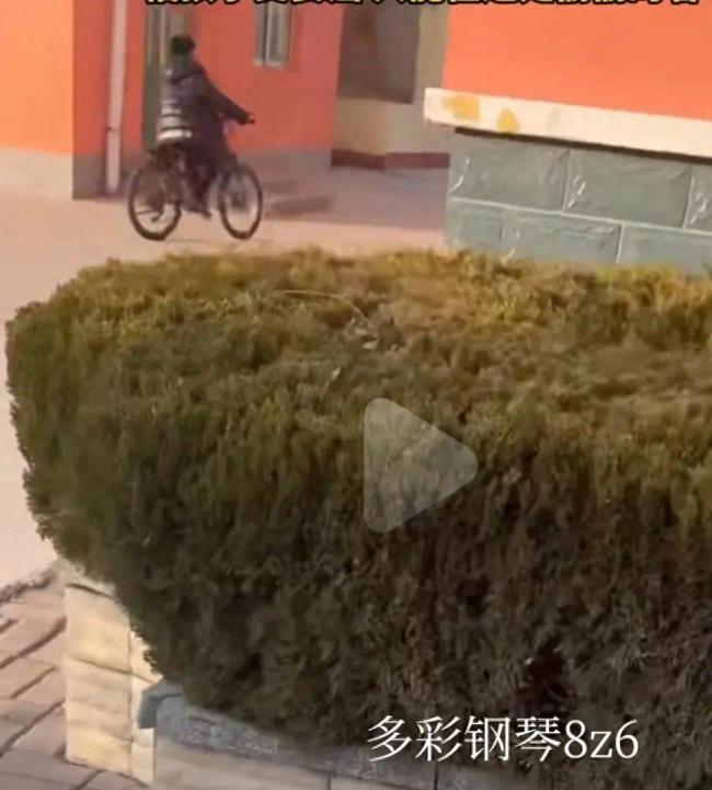 女子离婚后见到孩子跑着喊我是妈妈 网友：真正的格局是不教唆孩子不见父母