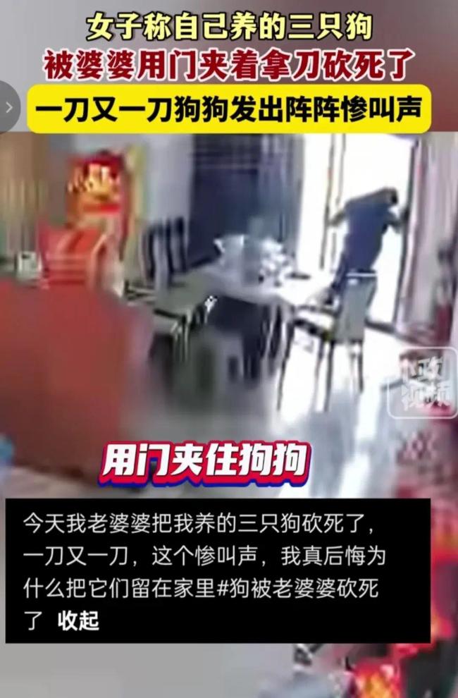 女子称养的三只狗被婆婆砍死，监控画面曝光！