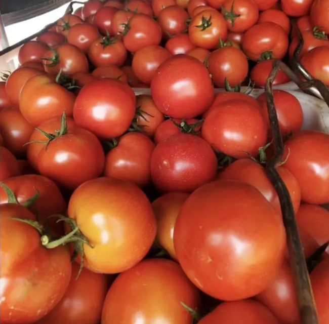 每天吃一个西红柿，高血压风险降低36%？怎么吃才正确！