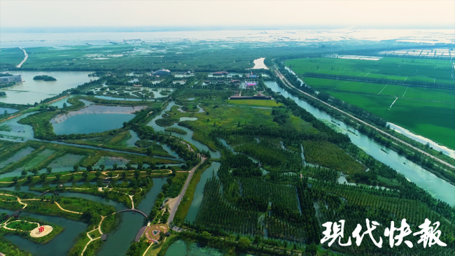 和諧共生｜解碼“地球之腎”，中國濕地何以美出圈,？