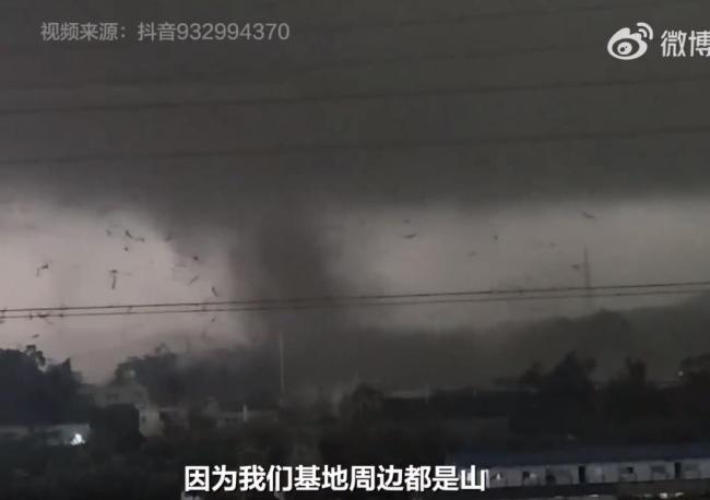 广州出现龙卷风摧毁一流浪狗基地男子转移80多条狗
