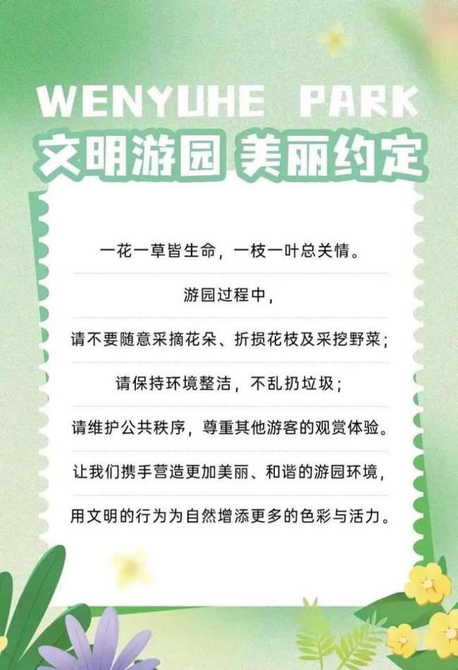 北京一公园油菜花开遍地金黄 春日限定，生活节启幕
