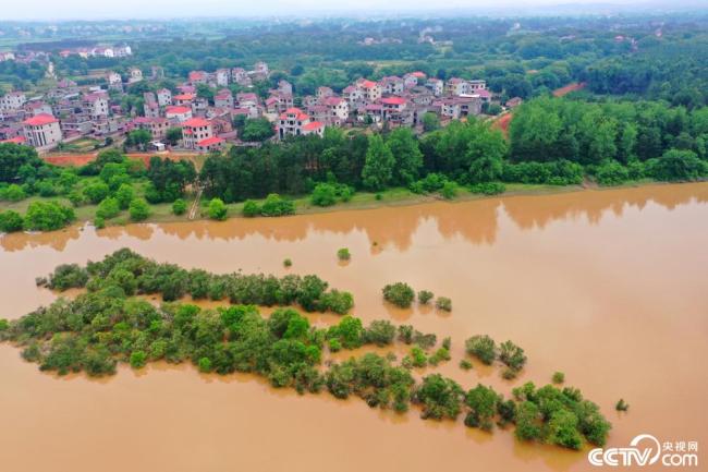 江西吉安：受强降雨影响 赣江水位持续上涨