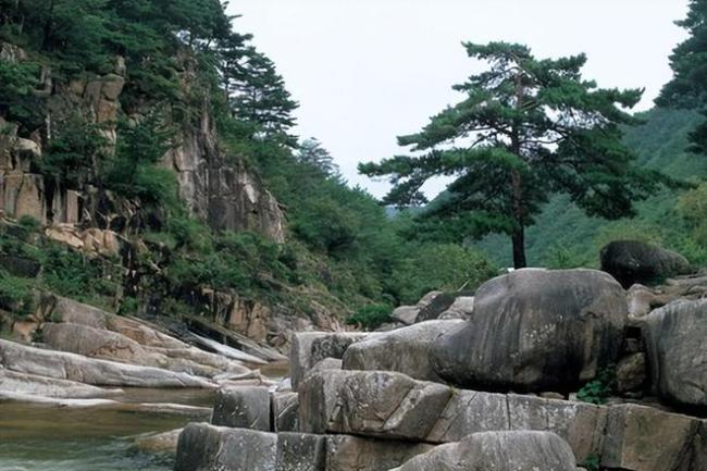 明日四月初七，老话说“虎啸山谷，三事不做”