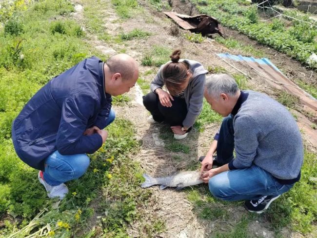 在浙里办摇专家的女生家沼虾上市了 网友点赞农业干部效率高