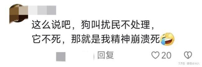 男子两只宠物犬被人隔墙毒死 邻里矛盾引悲剧