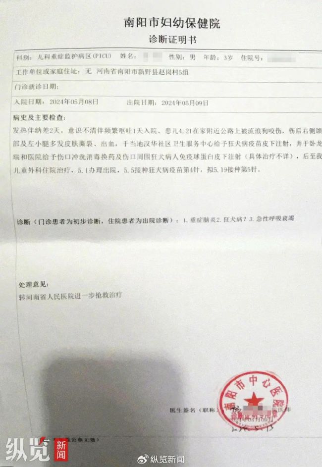 被狗咬伤离世男童的妈妈称被网暴 痛失爱子再遭网络暴力