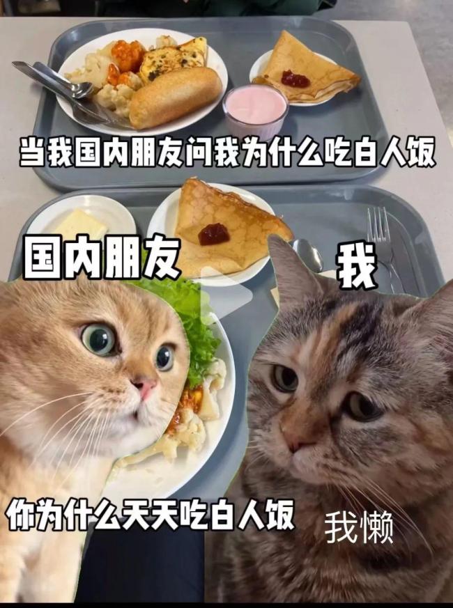 生食水煮“饭缩力”拉满，“白人饭”等于健康饮食吗？