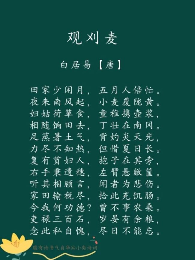 河南人回来收麦了 重温80年代金黄记忆