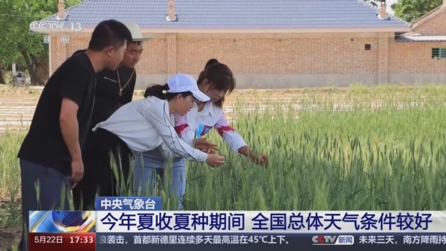 今年夏收夏种需要注意哪些天气影响？局地强对流天气需警惕