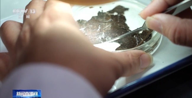 战国时期的“粽子”原来长这样！