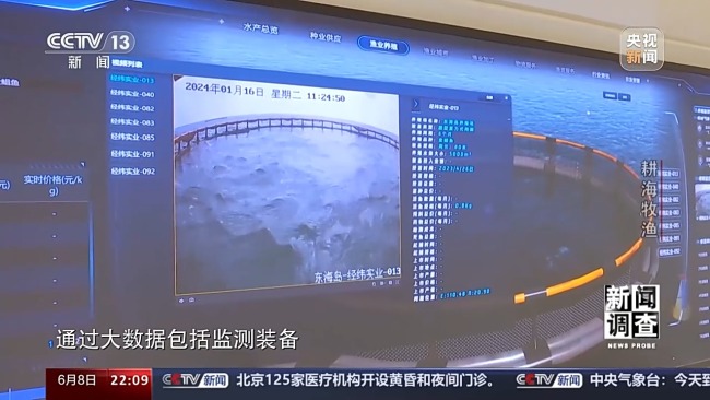 耕海牧渔 看海水养殖如何向深远海探索？