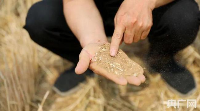 关注多地旱情：河南几乎全省达重旱等级，山东少雨，安徽持续高温！