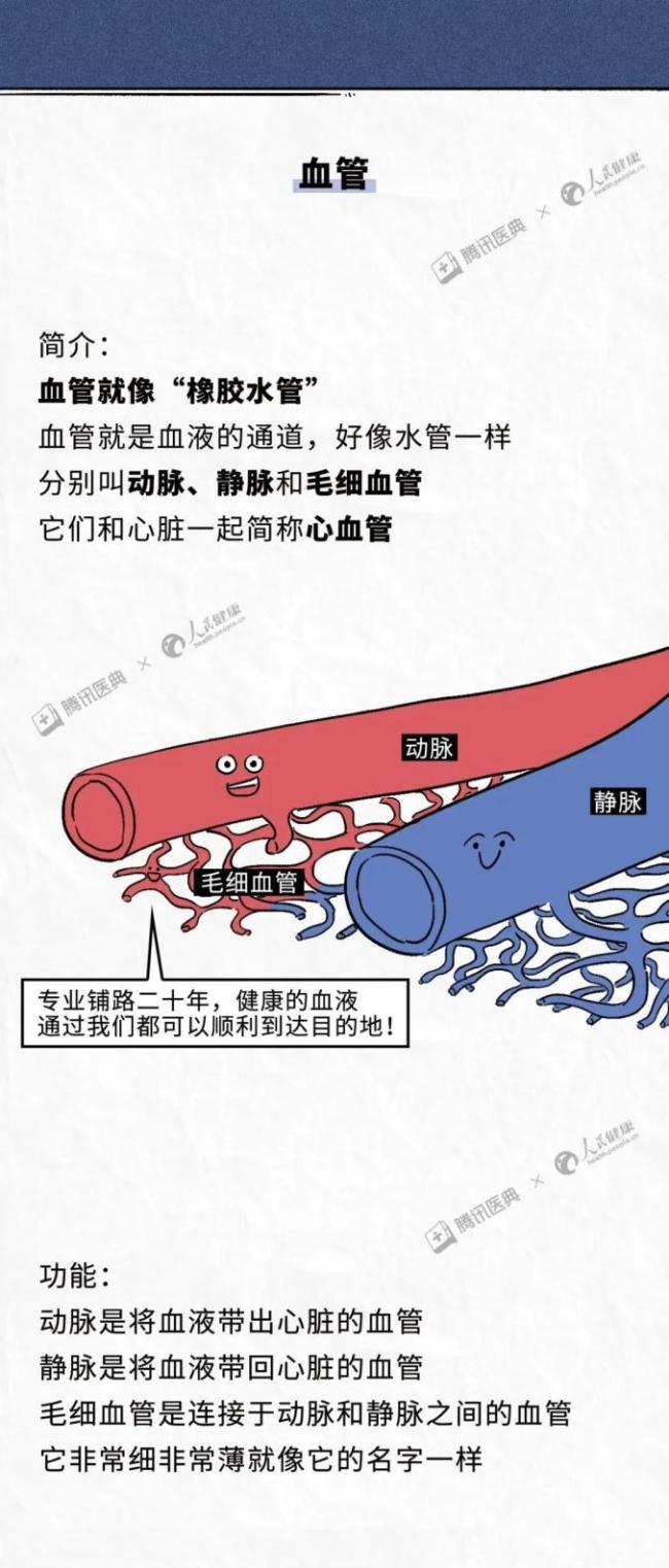 这7种现象是心脏在求救，请火速拨打120！速转给家人收藏！