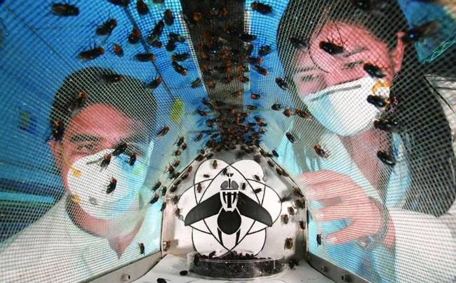 美国每周往巴拿马扔1500万只苍蝇 太空垃圾引热议