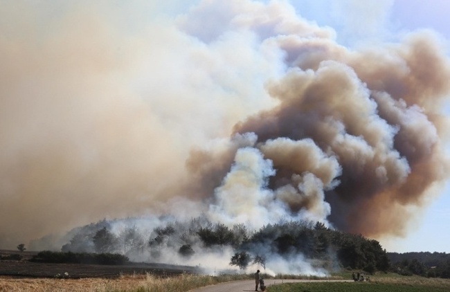 土耳其東南部發生森林火災 造成5死44傷