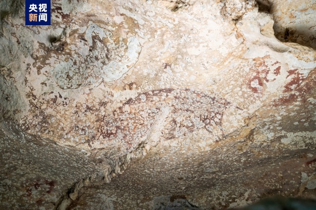 距今超5.1万年 印尼现世界已知最古老洞穴绘画