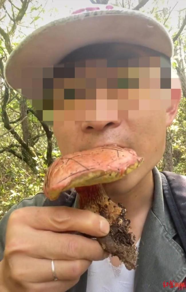 ▲网友发布的生吃野生菌画面 视频截图
