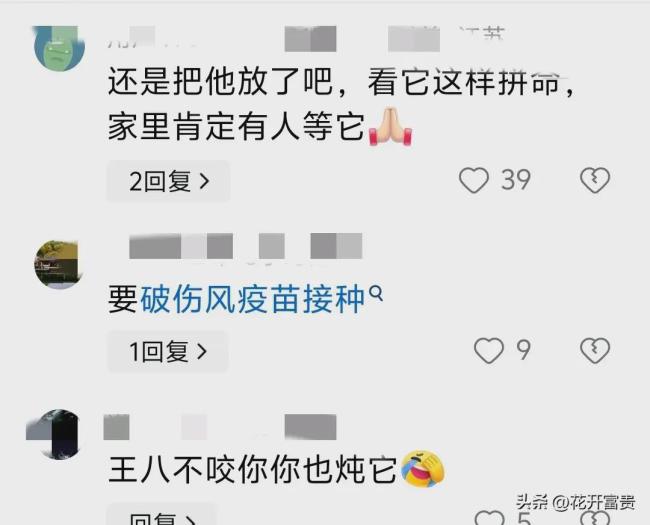 男子被自己钓的甲鱼咬伤 回家就炖了 网友调侃“以牙还牙”