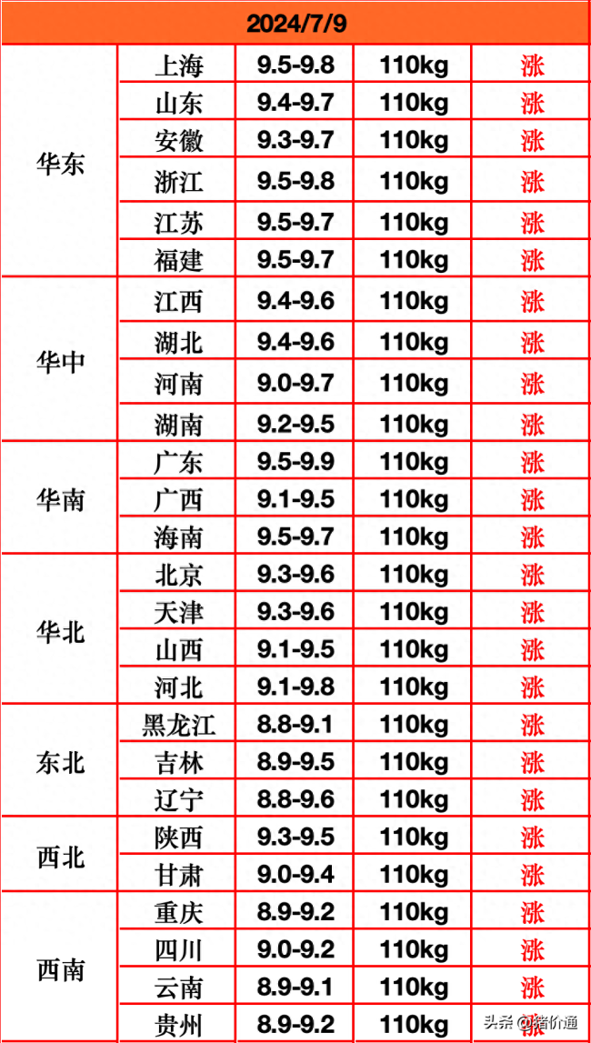 猪价“一夜大涨”！从南到北一片飘红