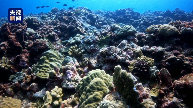《黄岩岛海域生态环境状况调查评估报告》发布