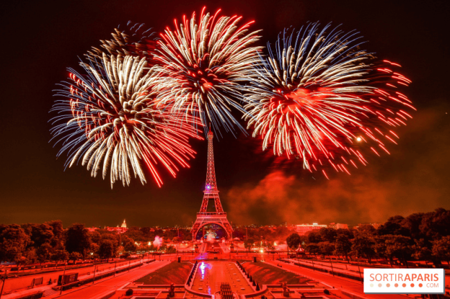 法国国庆日上演焰火秀 璀璨烟花共庆奥运年！