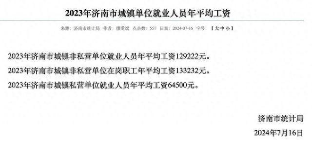 济南2023年年平均工资133232元