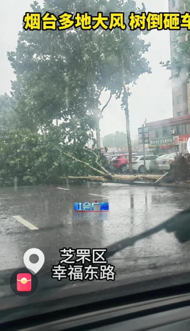 实拍烟台大风 琴音对抗狂风骤雨