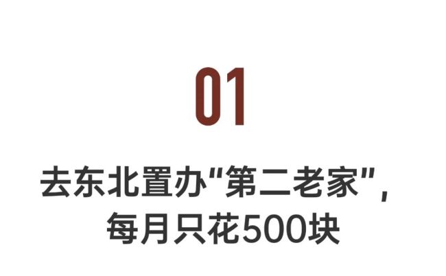 2万一套房的阜新会成为新鹤岗吗 万元买房背后的故事