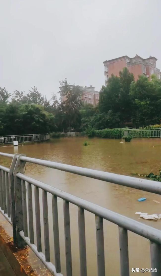 石家庄暴雨开启看海模式