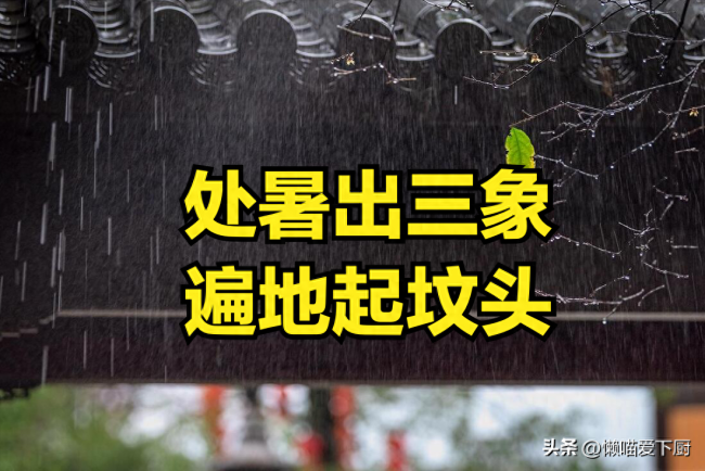 💰欢迎进入🎲官方正版✅“处暑出三象，遍地起坟头” 哪三象？