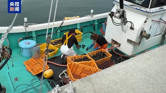 一年超6万吨核污染水排海 日本各界：反对到底